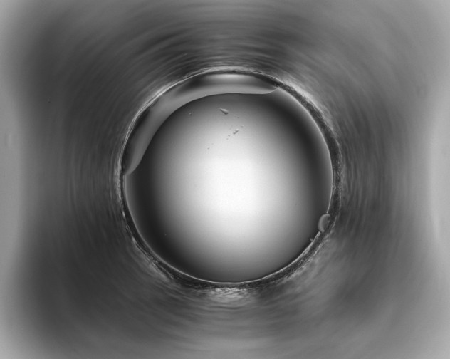 X0000094201137200710261146