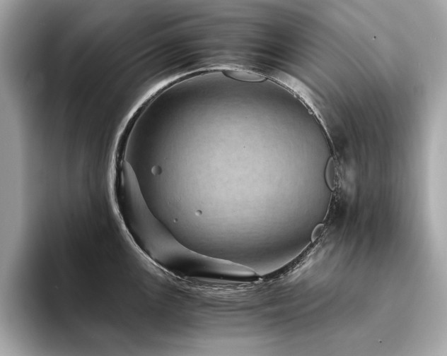 X0000094201147200710261147