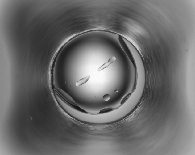 X0000094201151200710261147