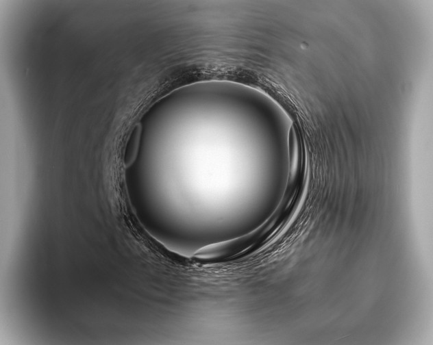 X0000094201153200710261146