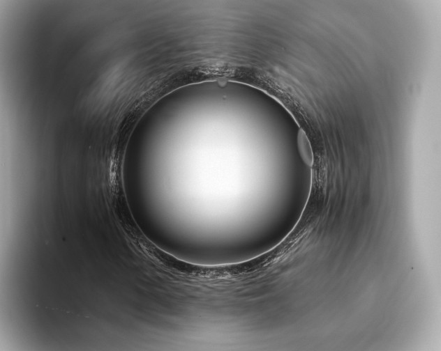 X0000094201154200710261146