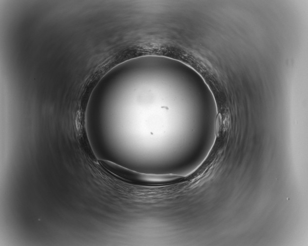 X0000094201156200710261146