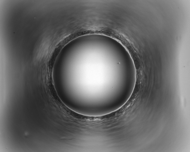 X0000094201158200710261146