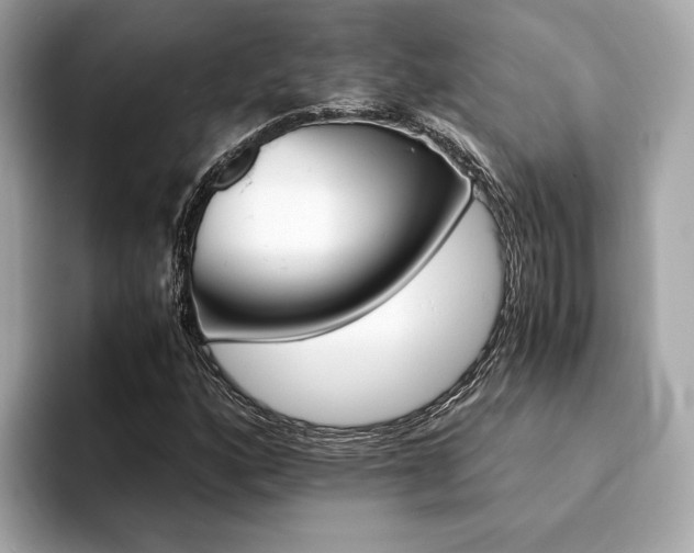 X0000094201160200710261146