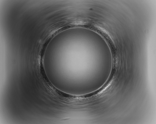 X0000094201161200710261146