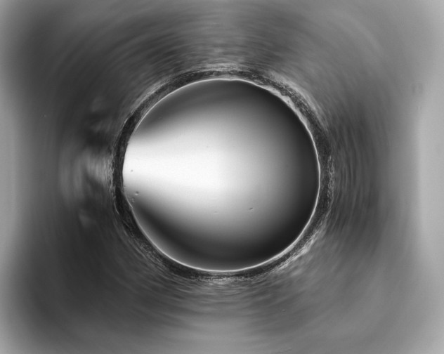 X0000094201162200710261146