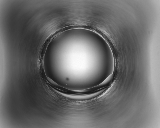 X0000094201163200710261146
