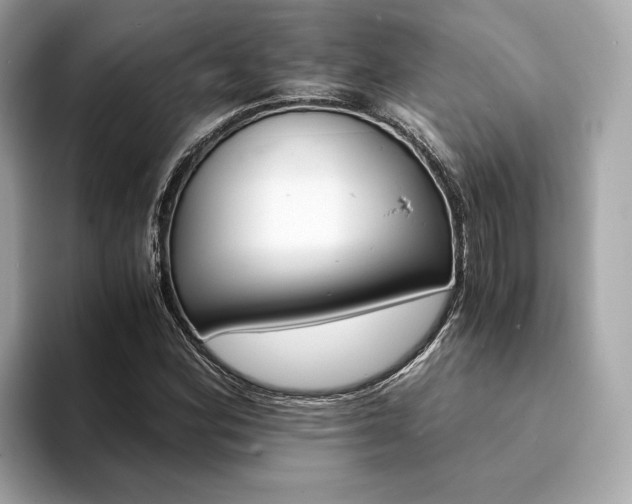 X0000094201164200710261146