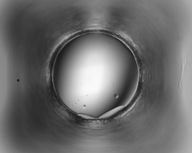 X0000094201167200710261146