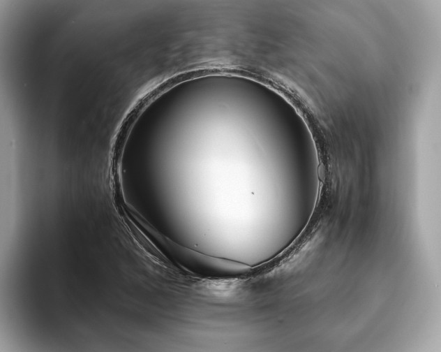 X0000094201168200710261146
