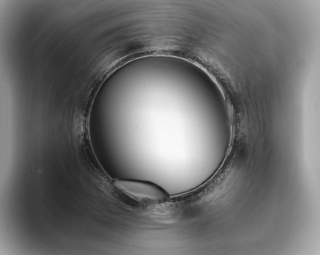 X0000094201169200710261146