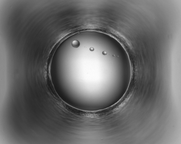 X0000094201170200710261146