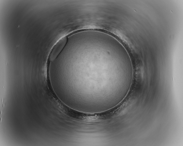 X0000094201173200710261146