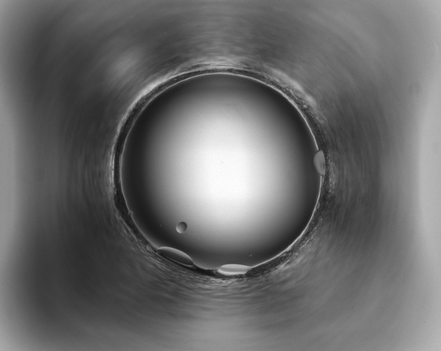 X0000094201174200710261146
