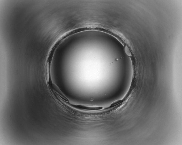 X0000094201175200710261146