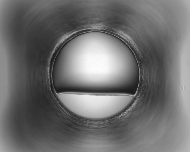X0000094201176200710261146