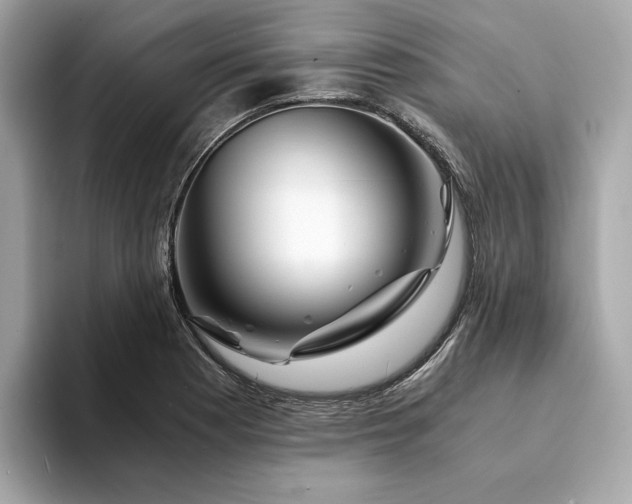 X0000094201177200710261146