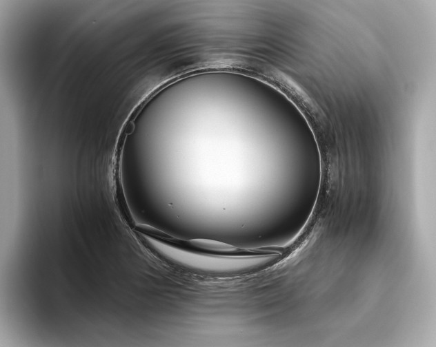X0000094201178200710261146