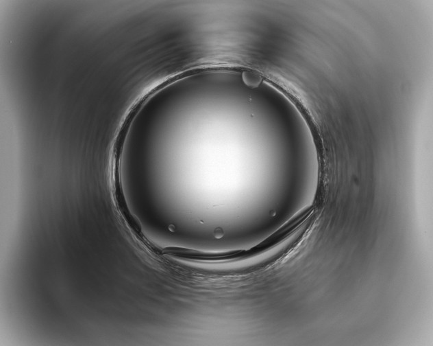 X0000094201179200710261146