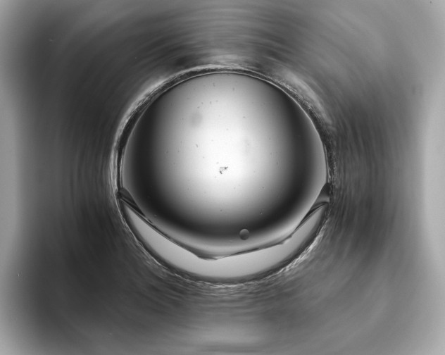 X0000094201180200710261146