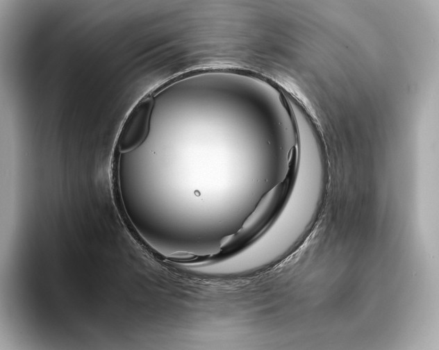 X0000094201181200710261146