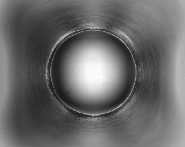 X0000094201182200710261146