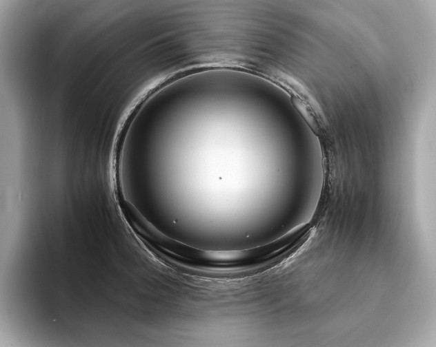X0000094201188200710261146