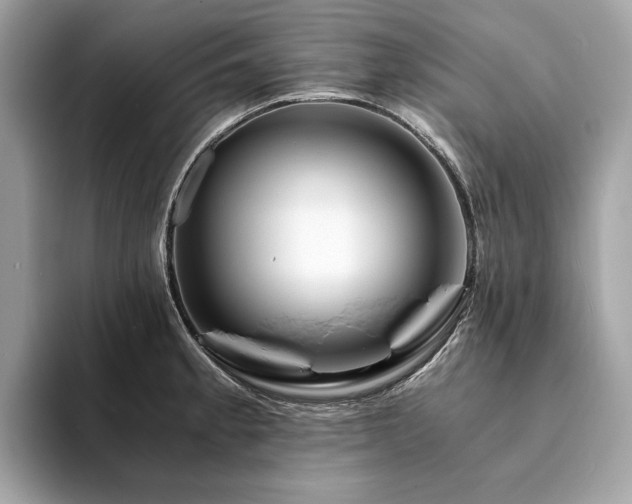 X0000094201189200710261146