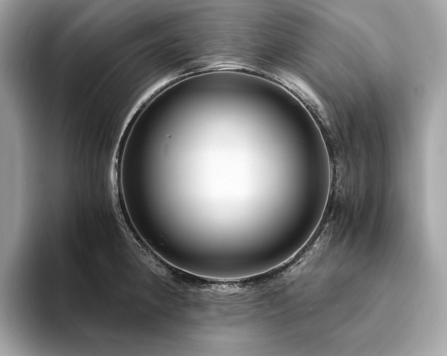 X0000094201190200710261146