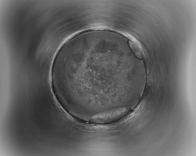 X0000094201191200710261146