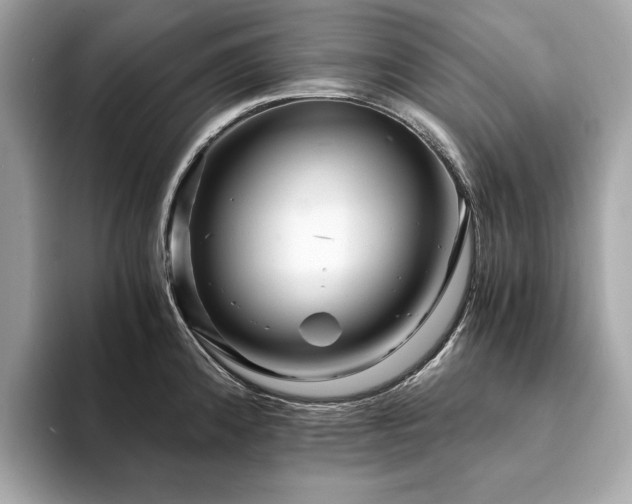 X0000094201192200710261146