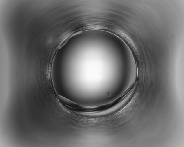 X0000094201193200710261146