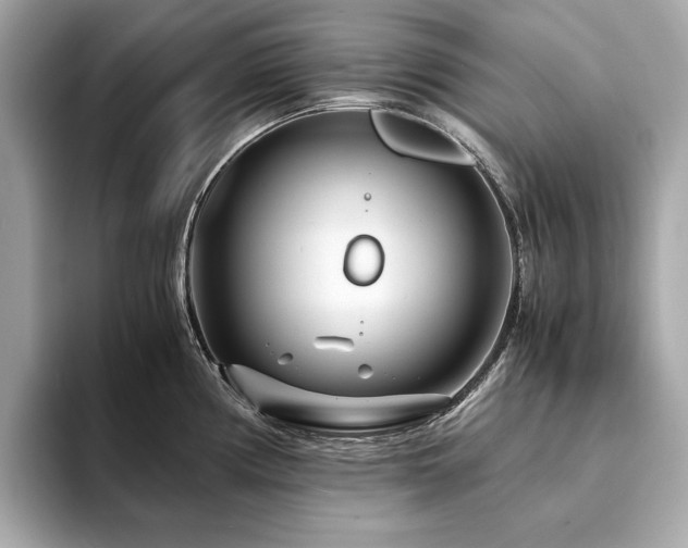 X0000094201194200710261145