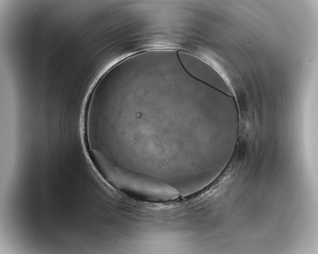 X0000094201195200710261145