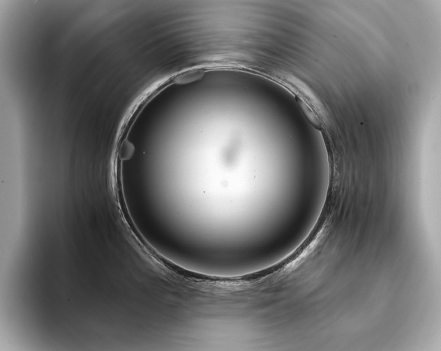 X0000094201196200710261145
