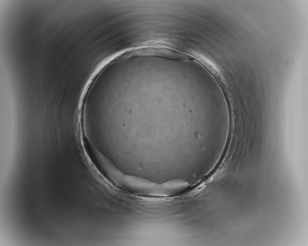 X0000094201200200710261145