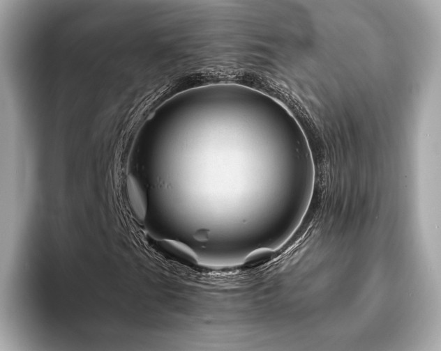 X0000094201201200710261145