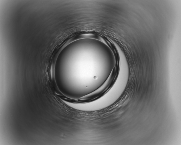 X0000094201202200710261145