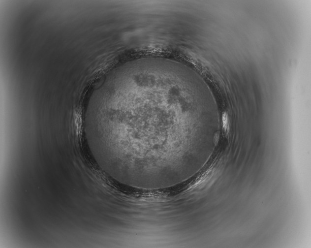 X0000094201203200710261145