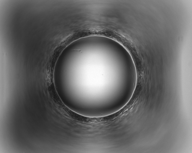 X0000094201205200710261145