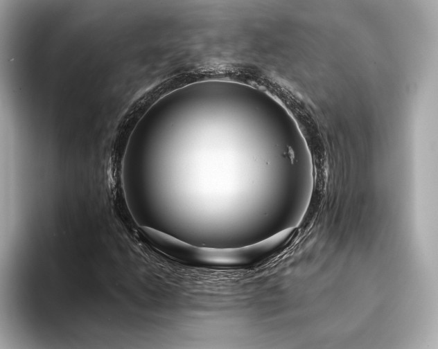 X0000094201206200710261145