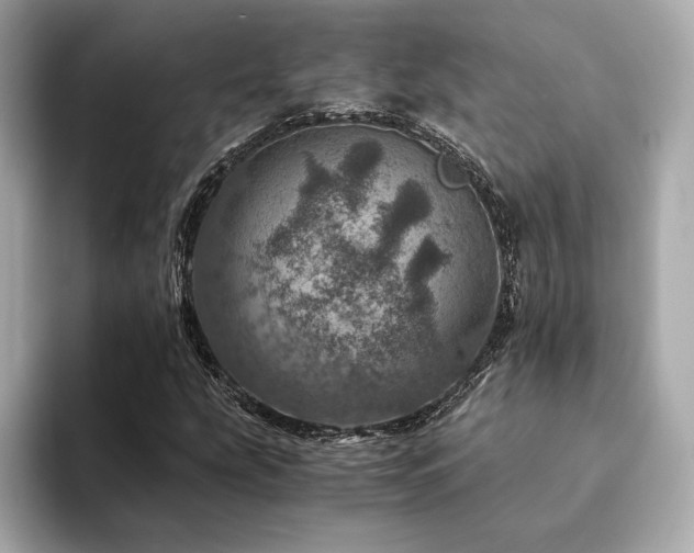 X0000094201207200710261145