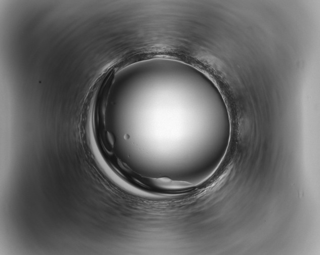 X0000094201210200710261145