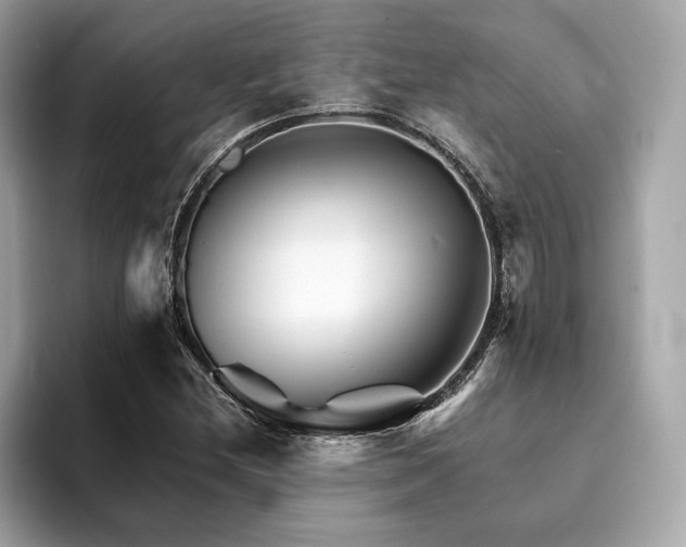 X0000094201212200710261145