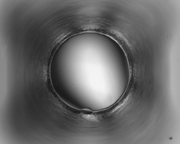 X0000094201217200710261145