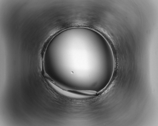 X0000094201219200710261145