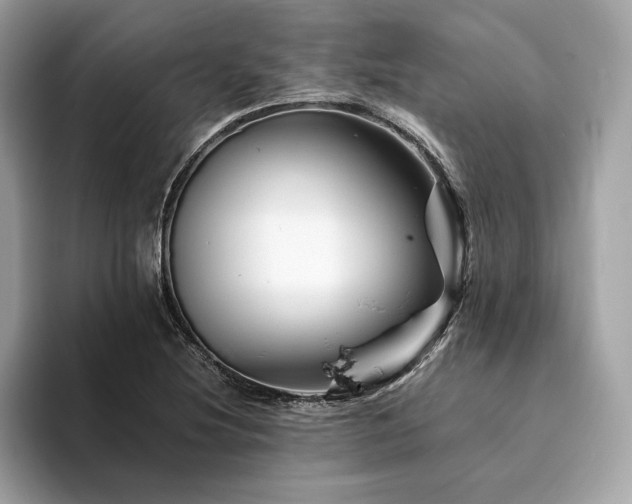 X0000094201220200710261145
