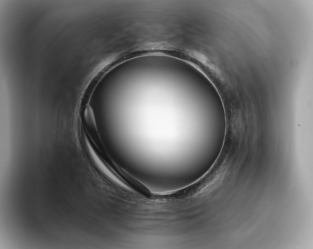 X0000094201221200710261145