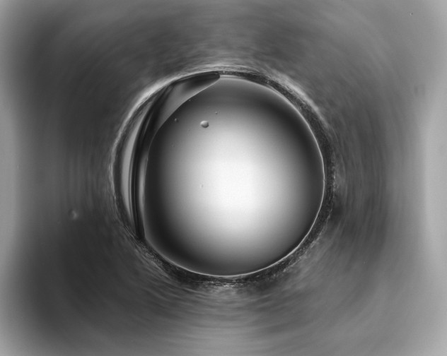 X0000094201222200710261145