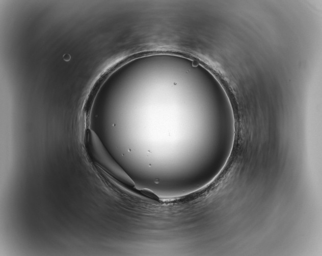 X0000094201223200710261145